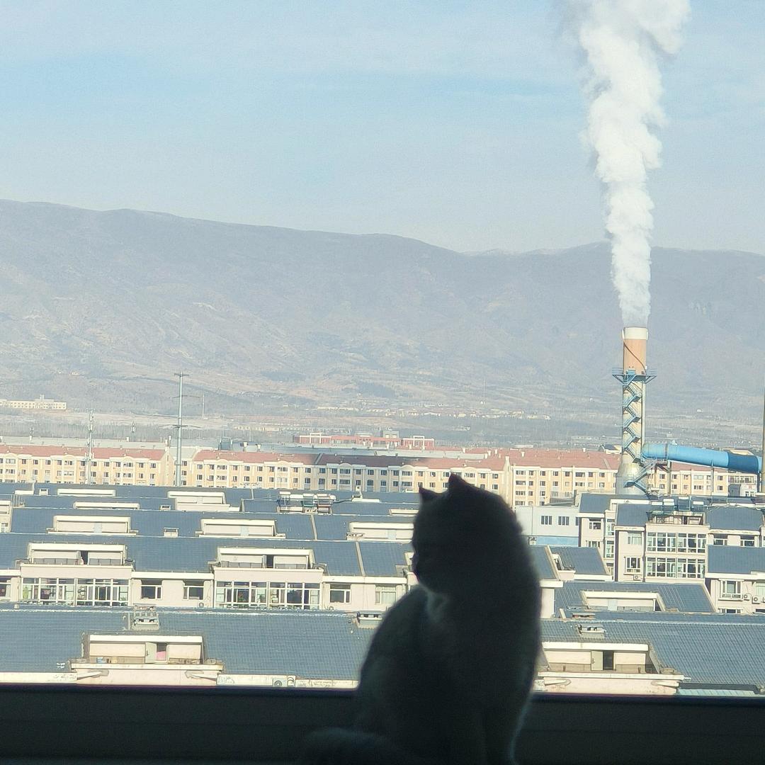 歖
