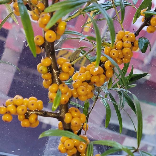 你是云儿，我是风