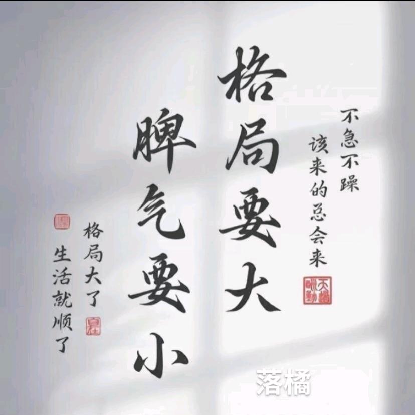 郁金香v587
