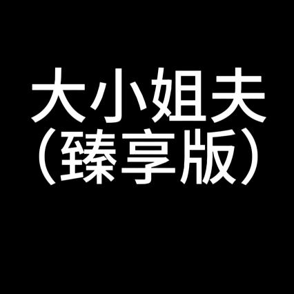 大小姐夫（臻享版）
