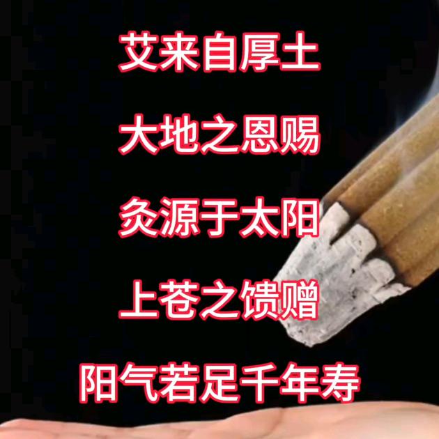 天津朴真艾灸禅拍