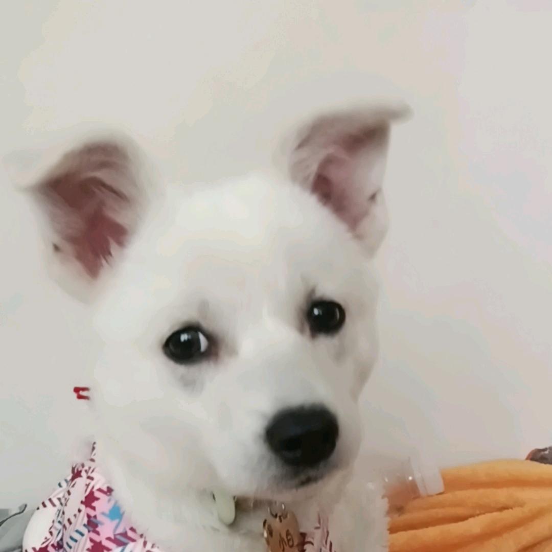 你是我的小祖宗