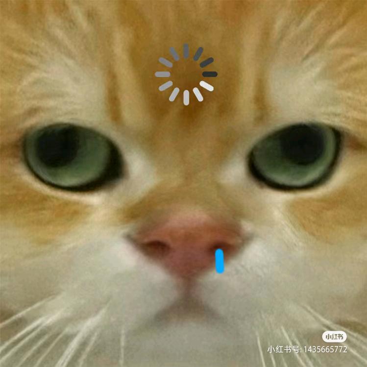 炒板栗