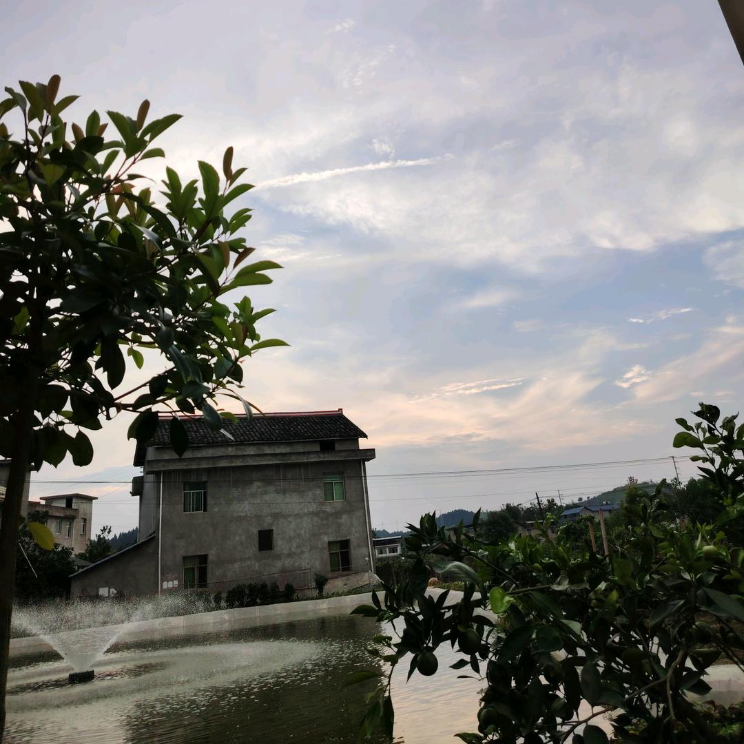 小秋同学