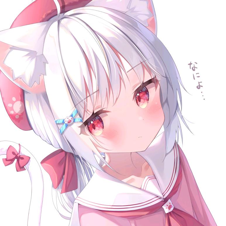钟溪鹿🍀