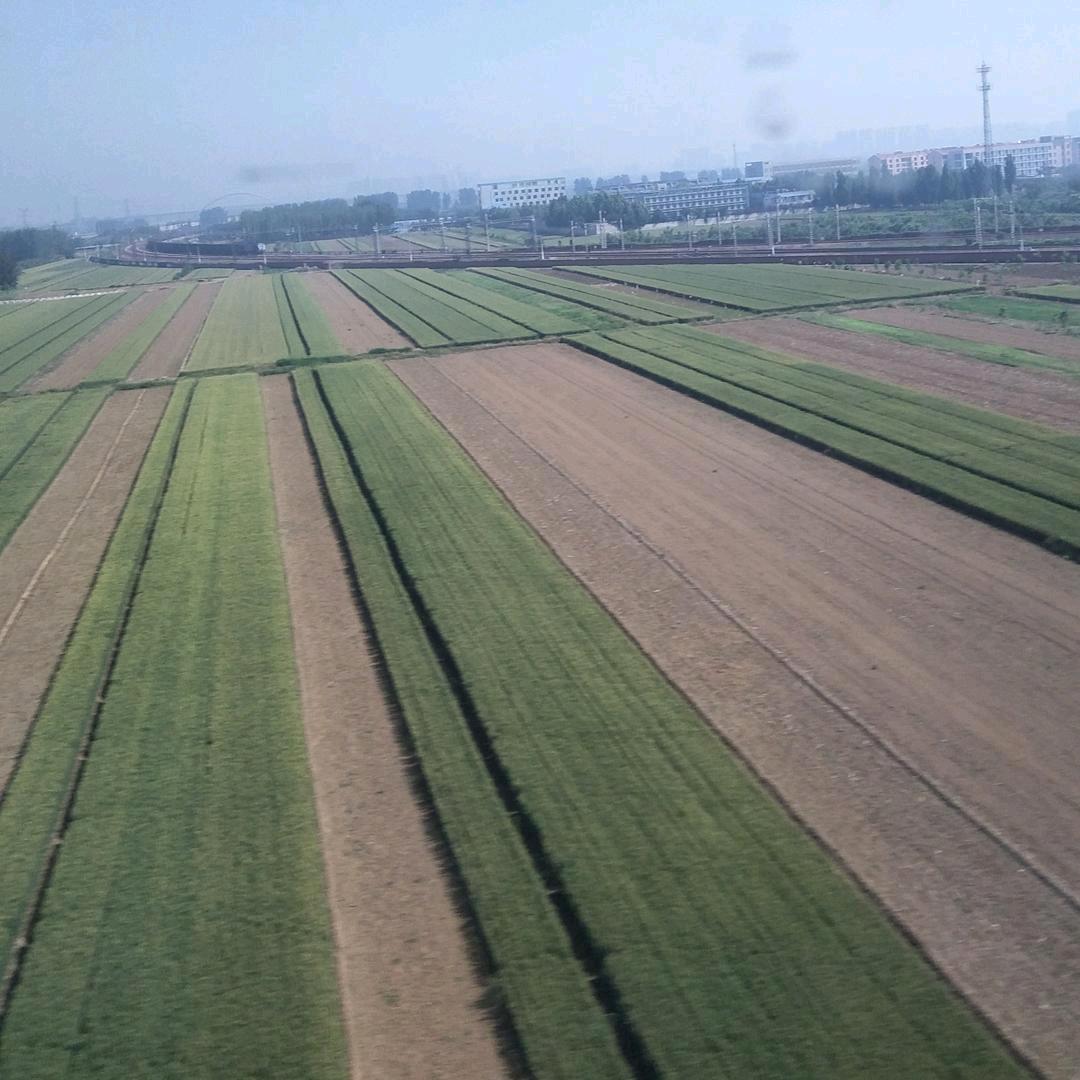 梦想成真