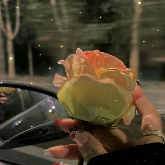 空港新城慧沣崎百货店