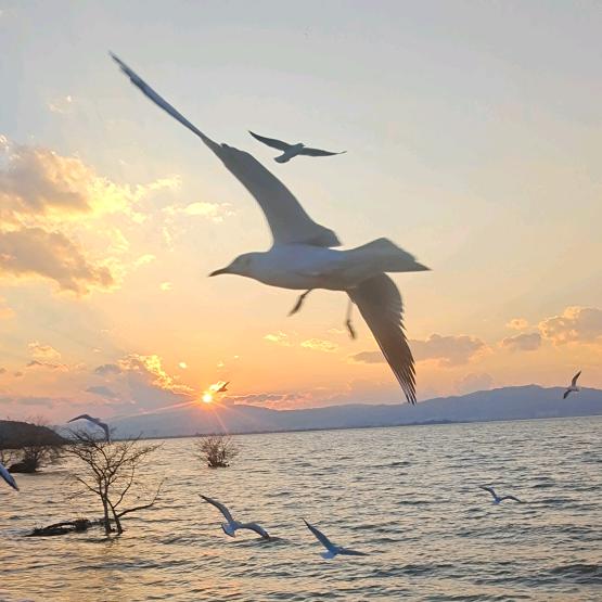 ღ悟ᴸ᭄ᵘꦿᵉ࿐