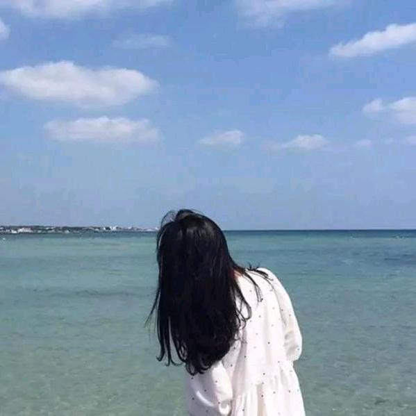 辛勤的小蜜蜂恒洁兰