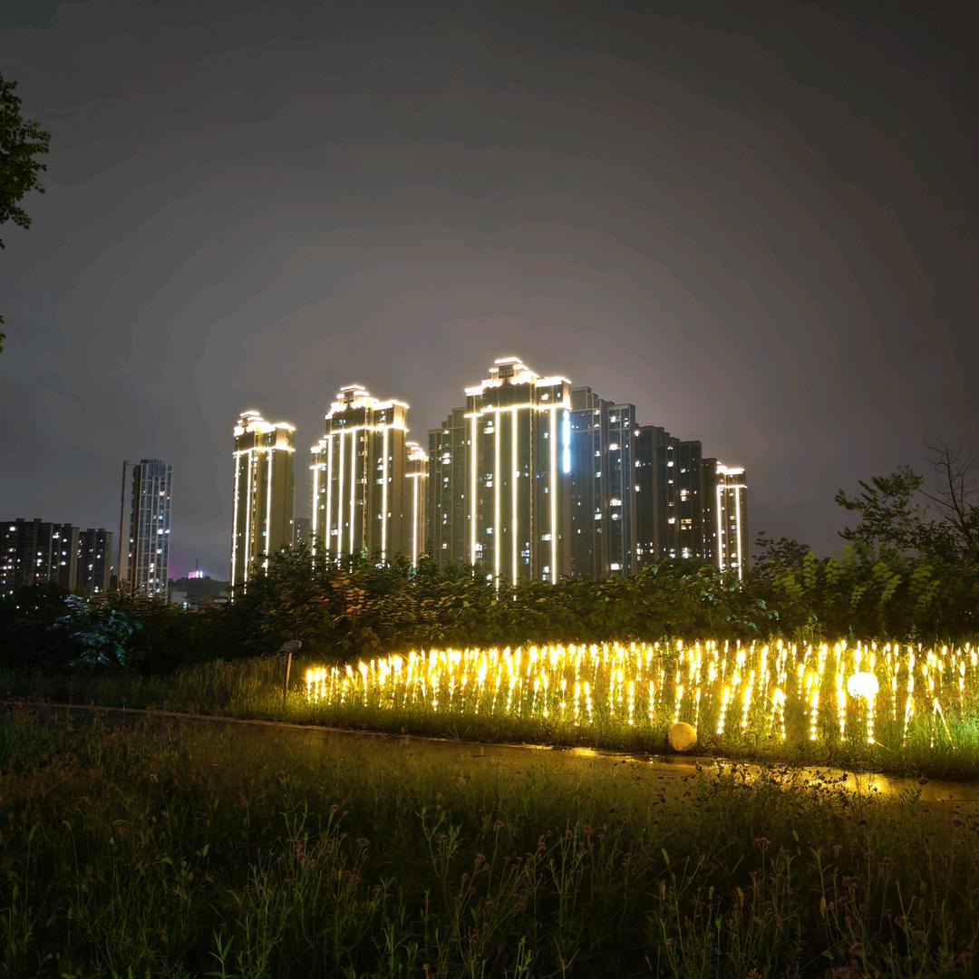 杨旭、