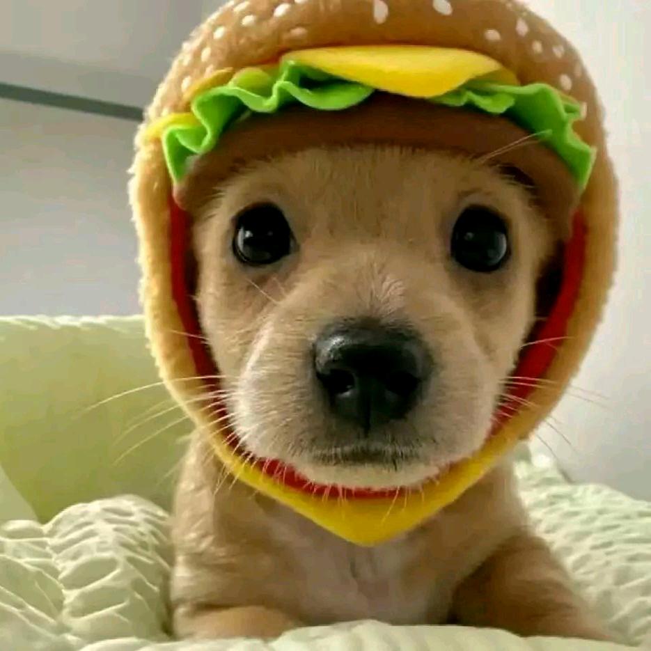 承诺像张白纸/.