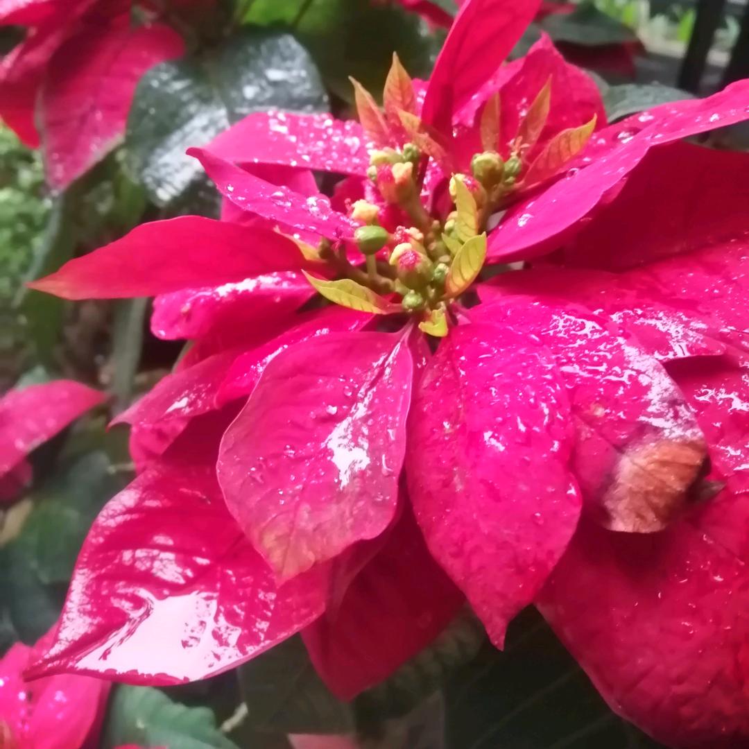 喜悦哥户外K歌聚会（演出设备）出租