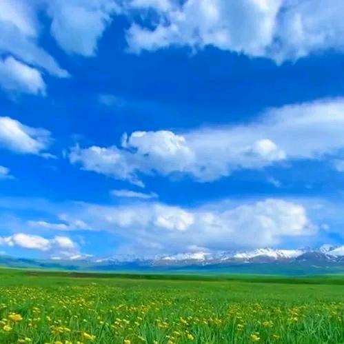 伤感歌曲放映
