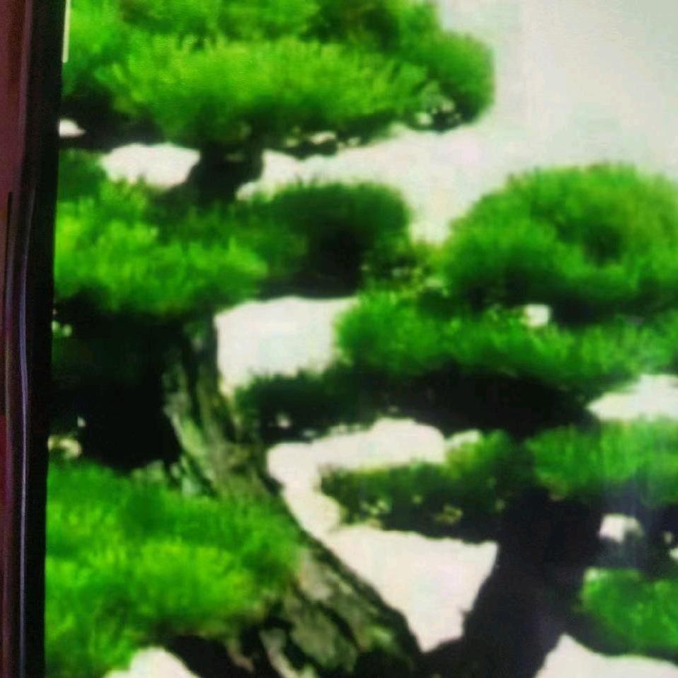 永远幸福