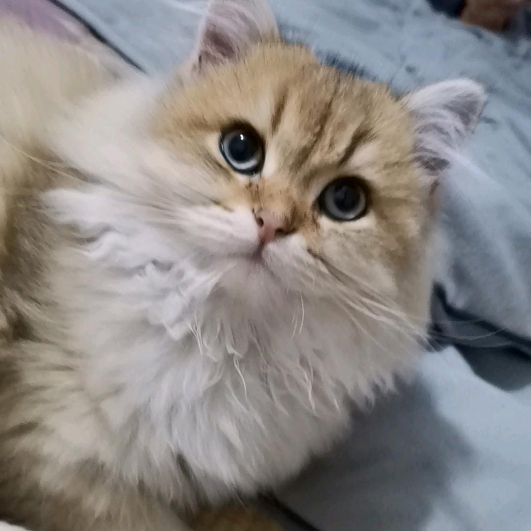 用户5384584254