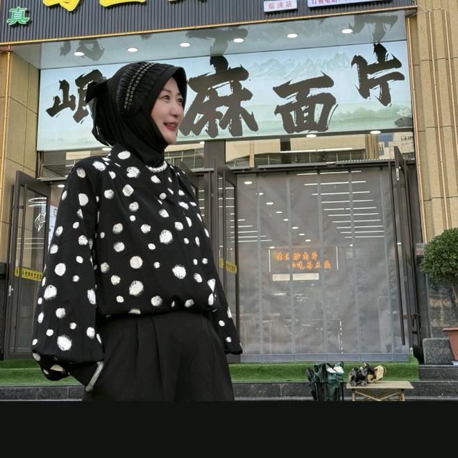 临洮苟曼曼岷县麻面片