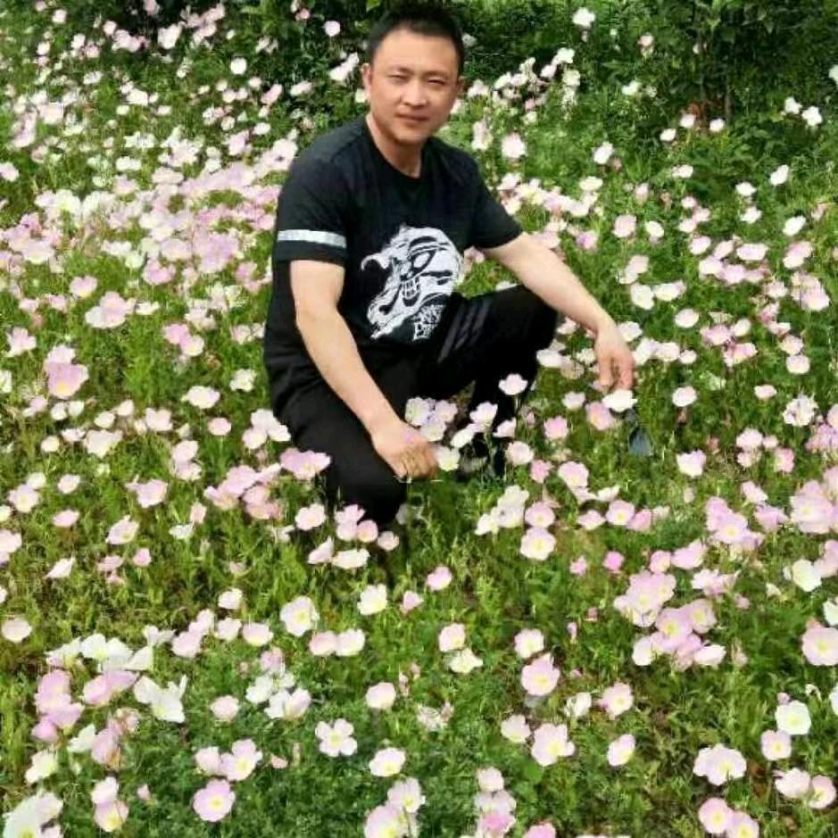 过去已过，面向未来