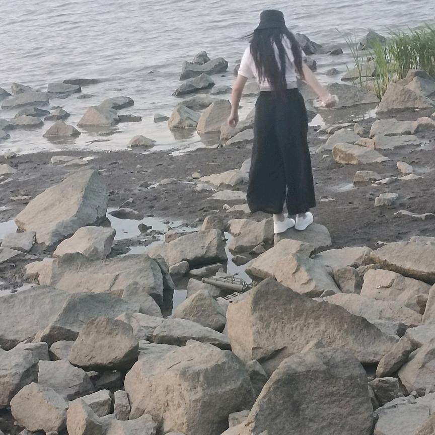 伟凡歆