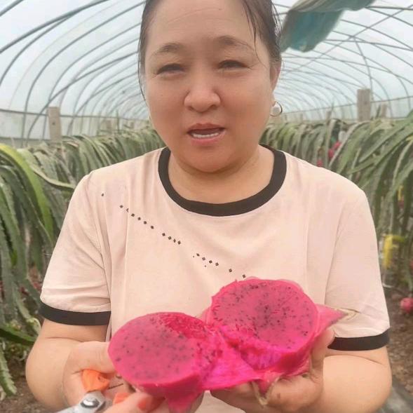 玉琴（滨淮火龙果）