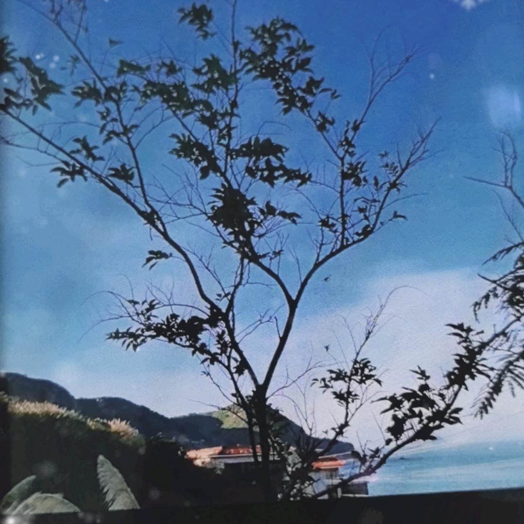 幸福一生🍁🍁🪷🪷