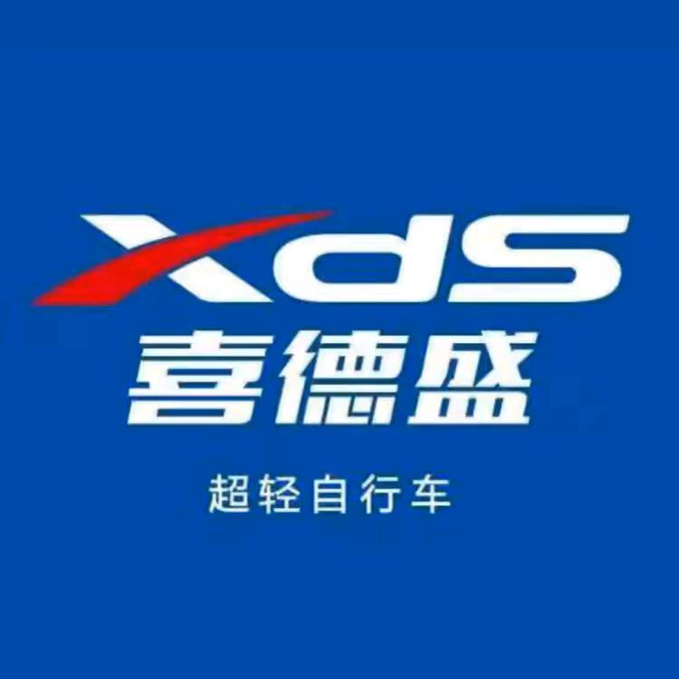 临淄喜德盛牛山路店198号