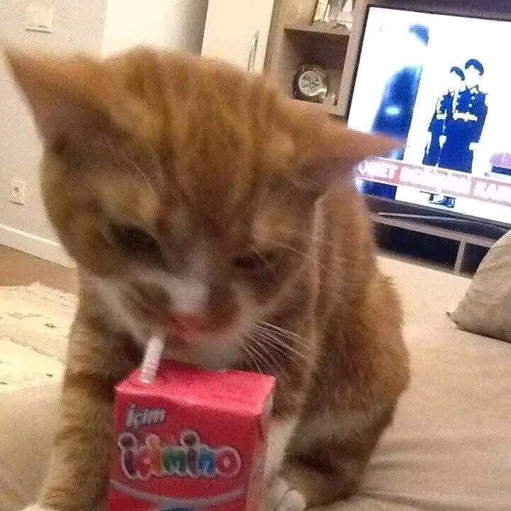 红小