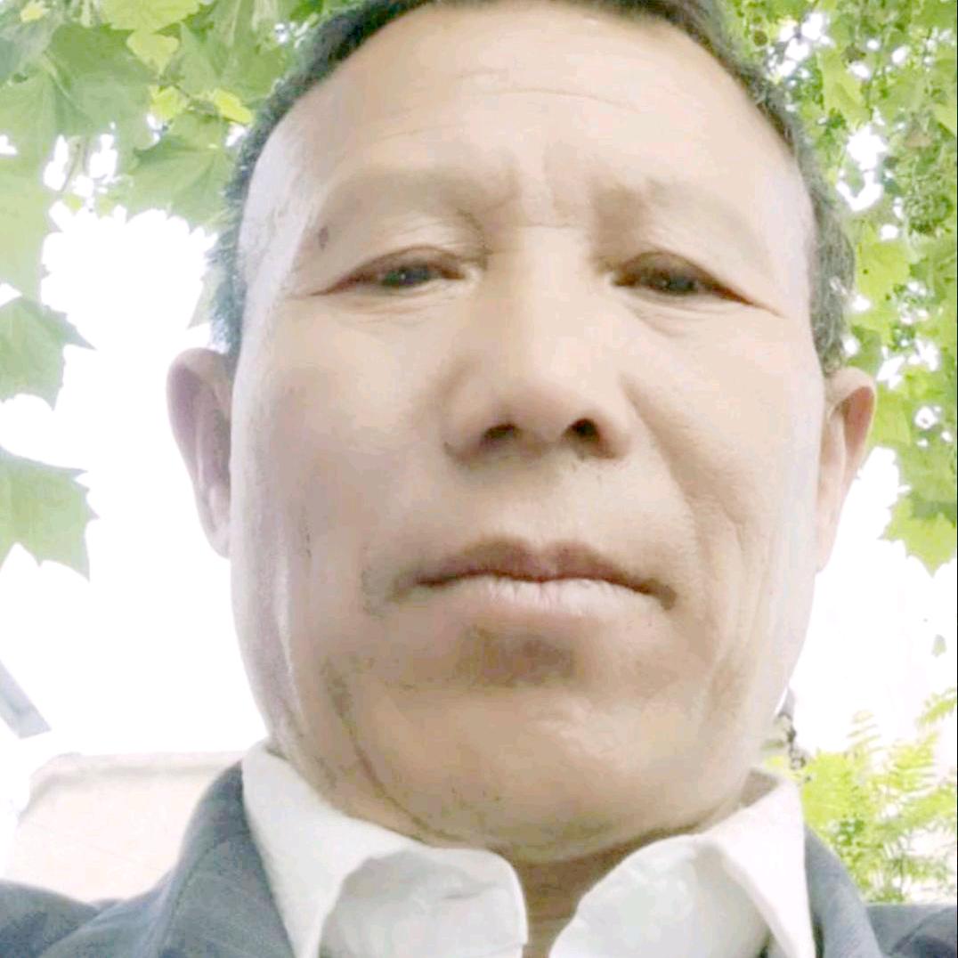 飞龙