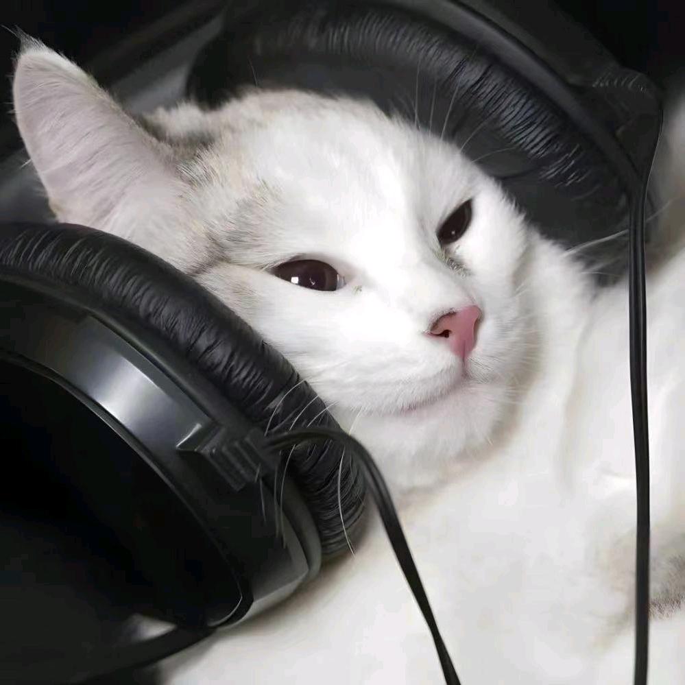 你怎么知道我喜欢JK妹妹