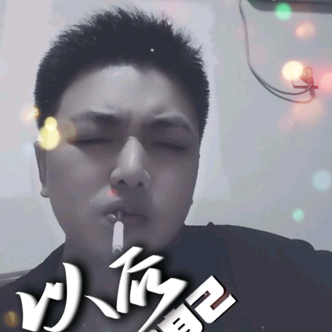 龙龙