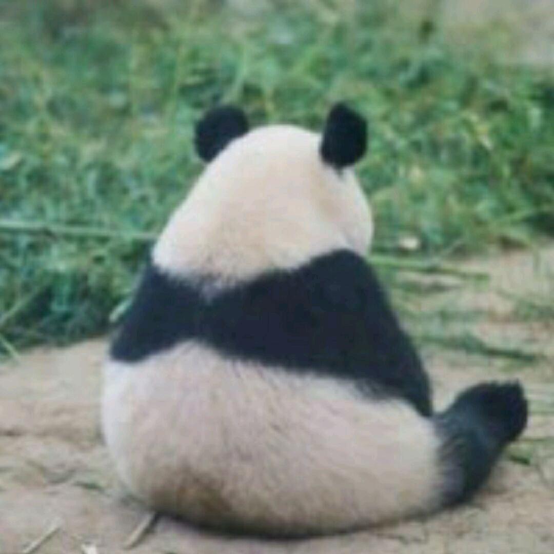 吴彦祖          -