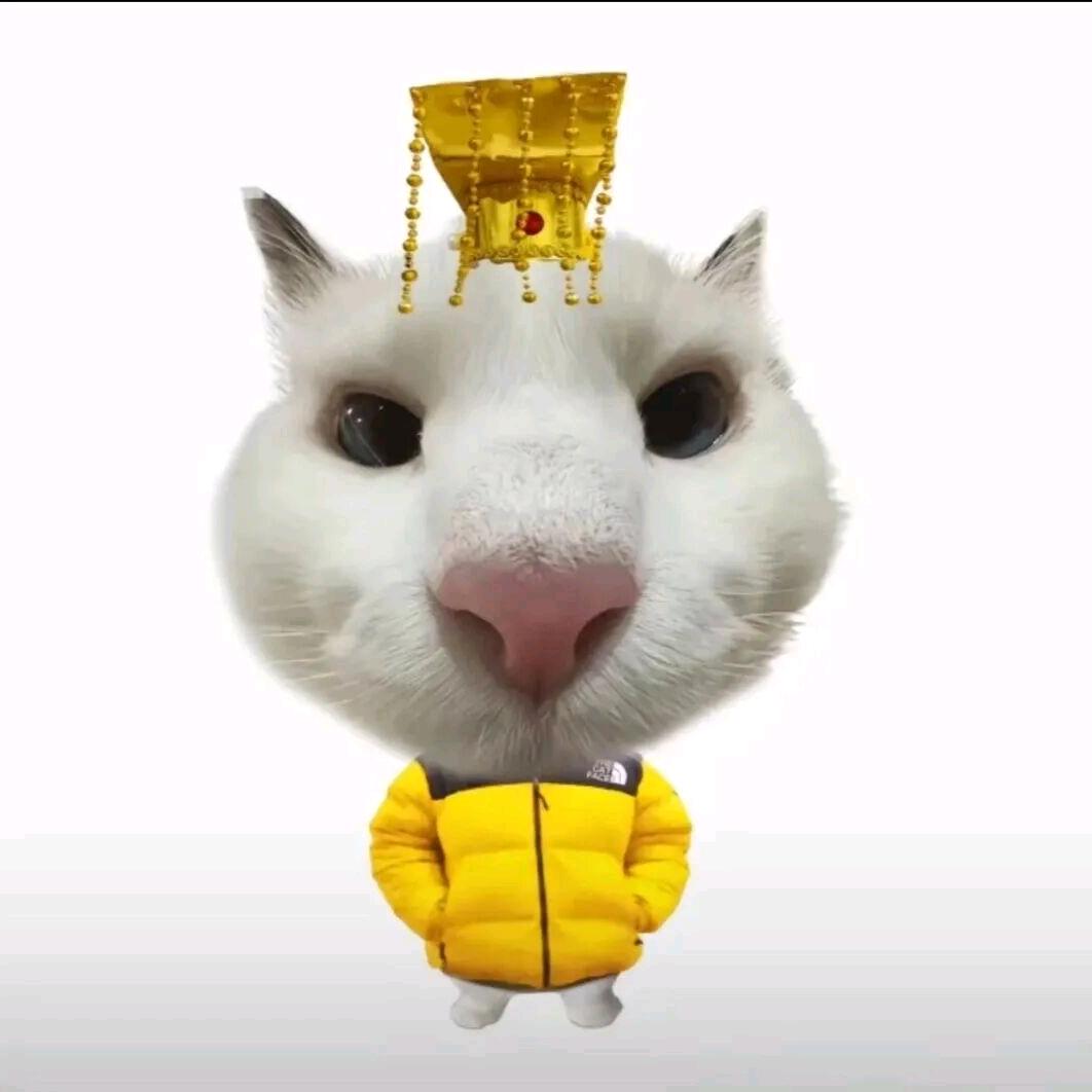 呆慕祁^