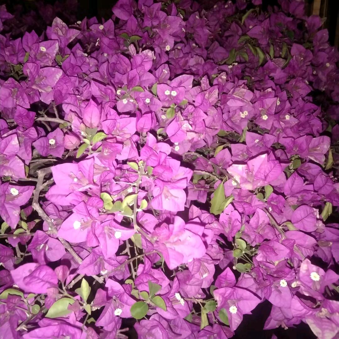 开心心，快快乐乐的