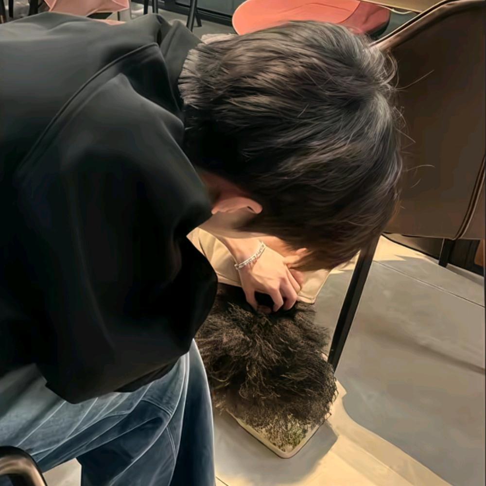 如果我不是屌丝