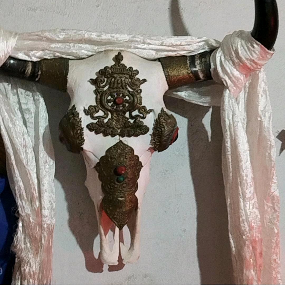 桓屹🐬旭旭