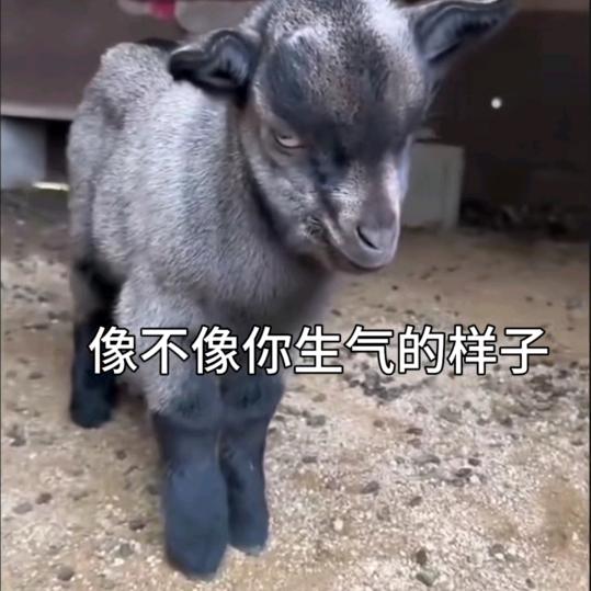 无言
