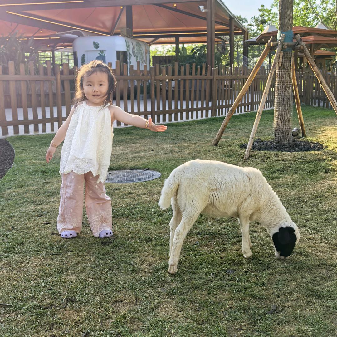 天蝎座闺女天秤座妈