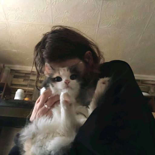 烦死了