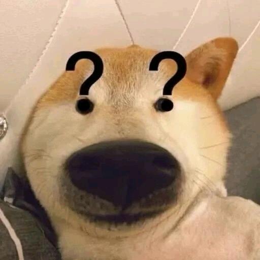 帝皇不是迪奥