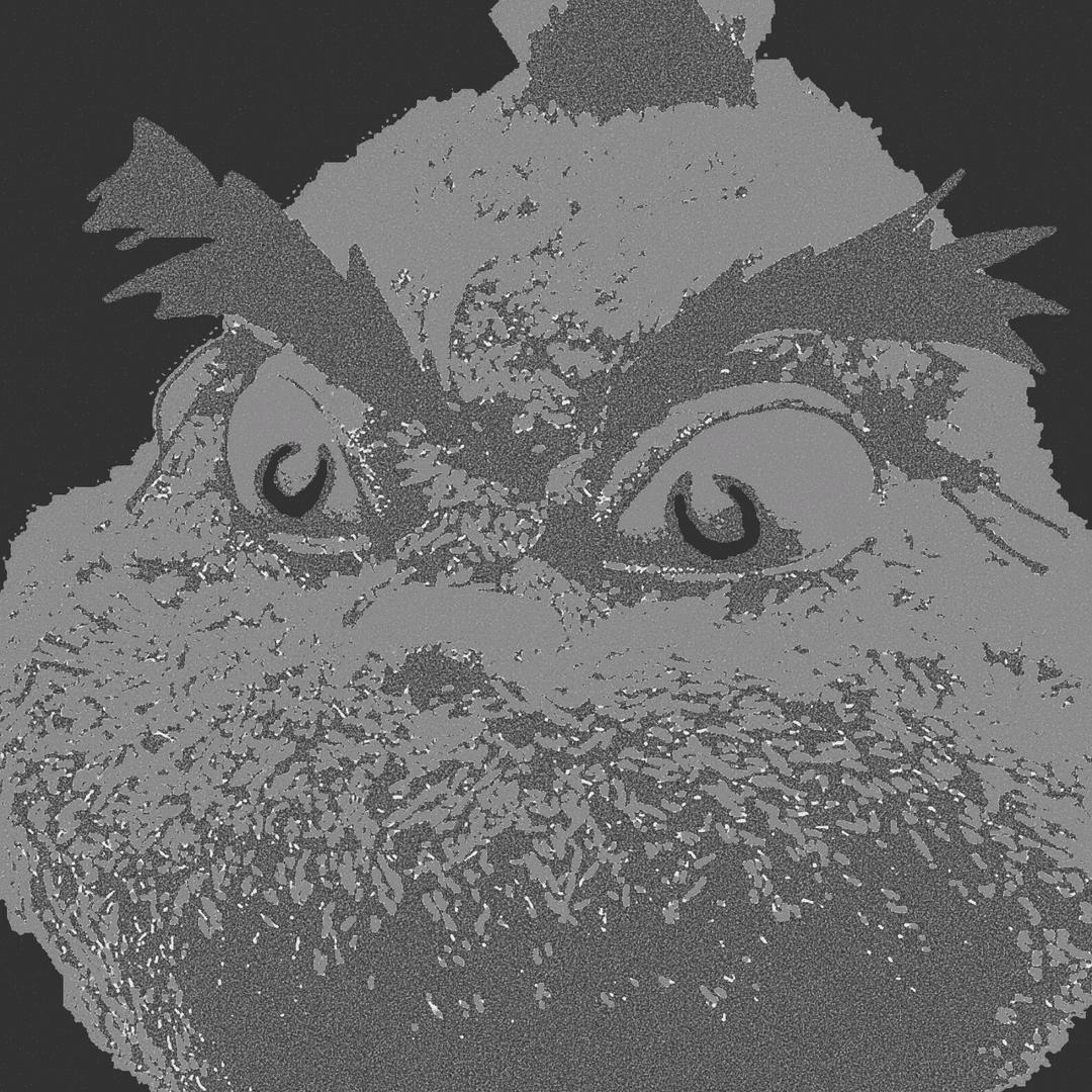 玉.