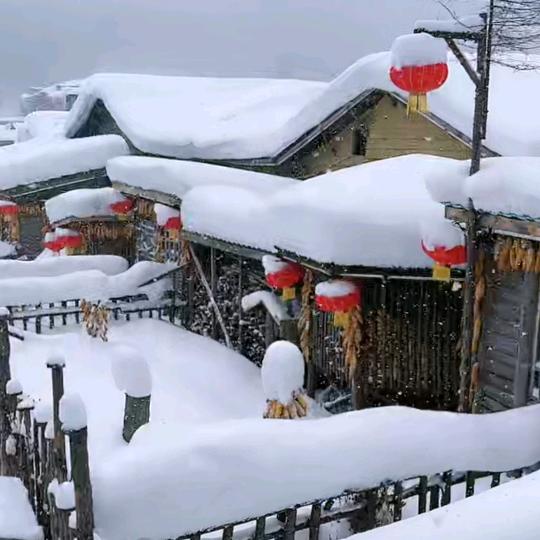 @东北的冬