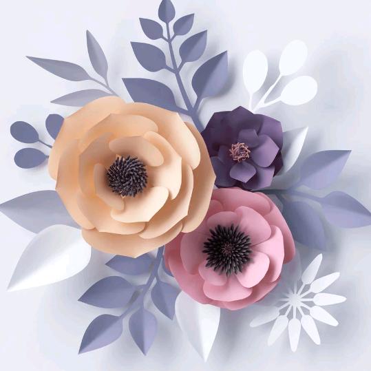 雨的印记💦《拒绝私聊》