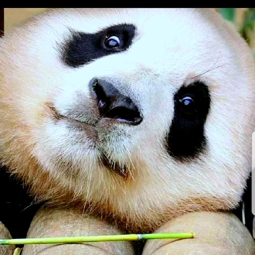记忆^碎片