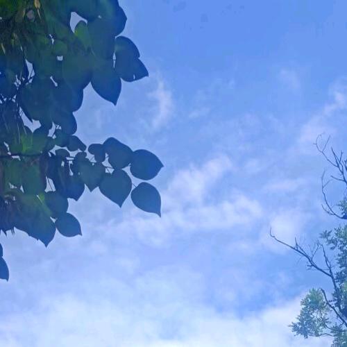 潇洒哥