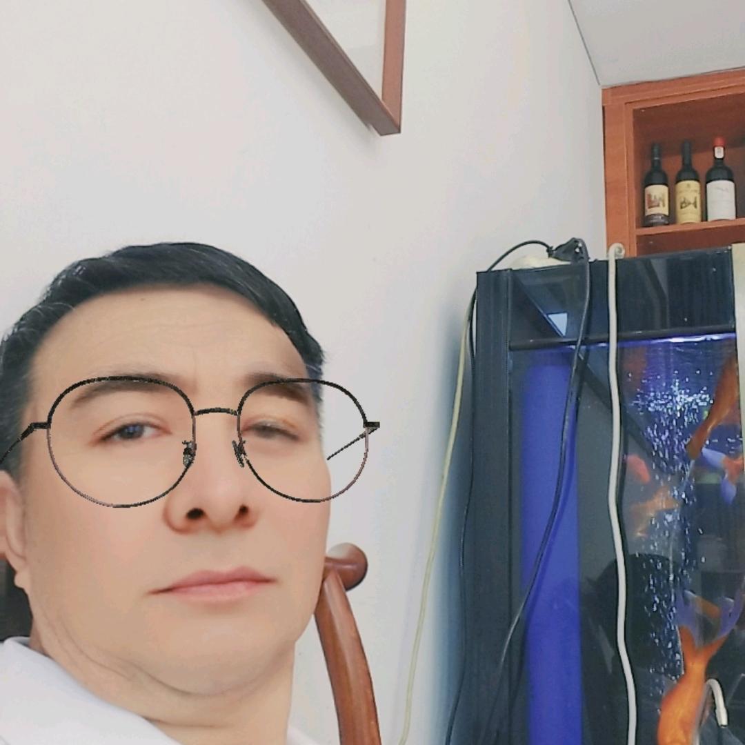 施总