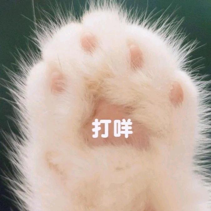 🌸巴巴🌸是巴卫的巴