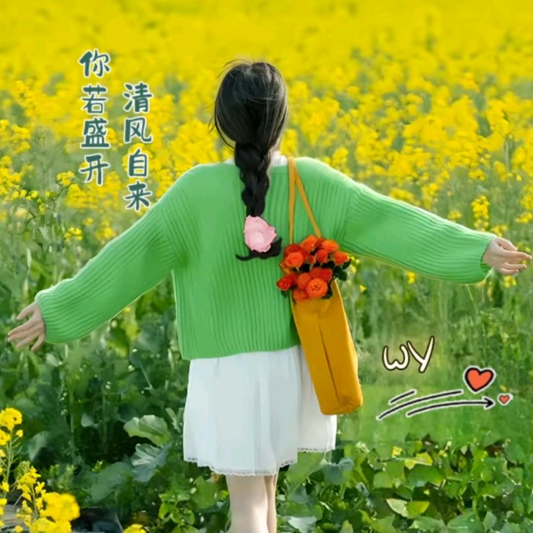 燕子好物（3）