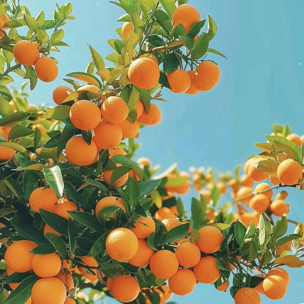 保定英华李老师