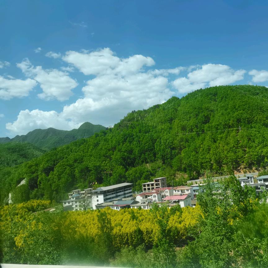 幸福人生