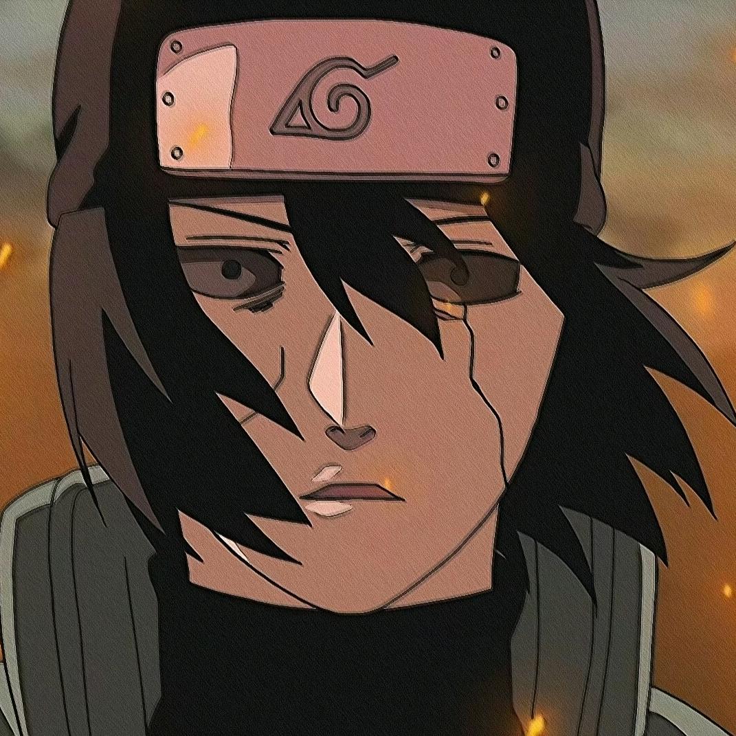 月光不止于疾风
