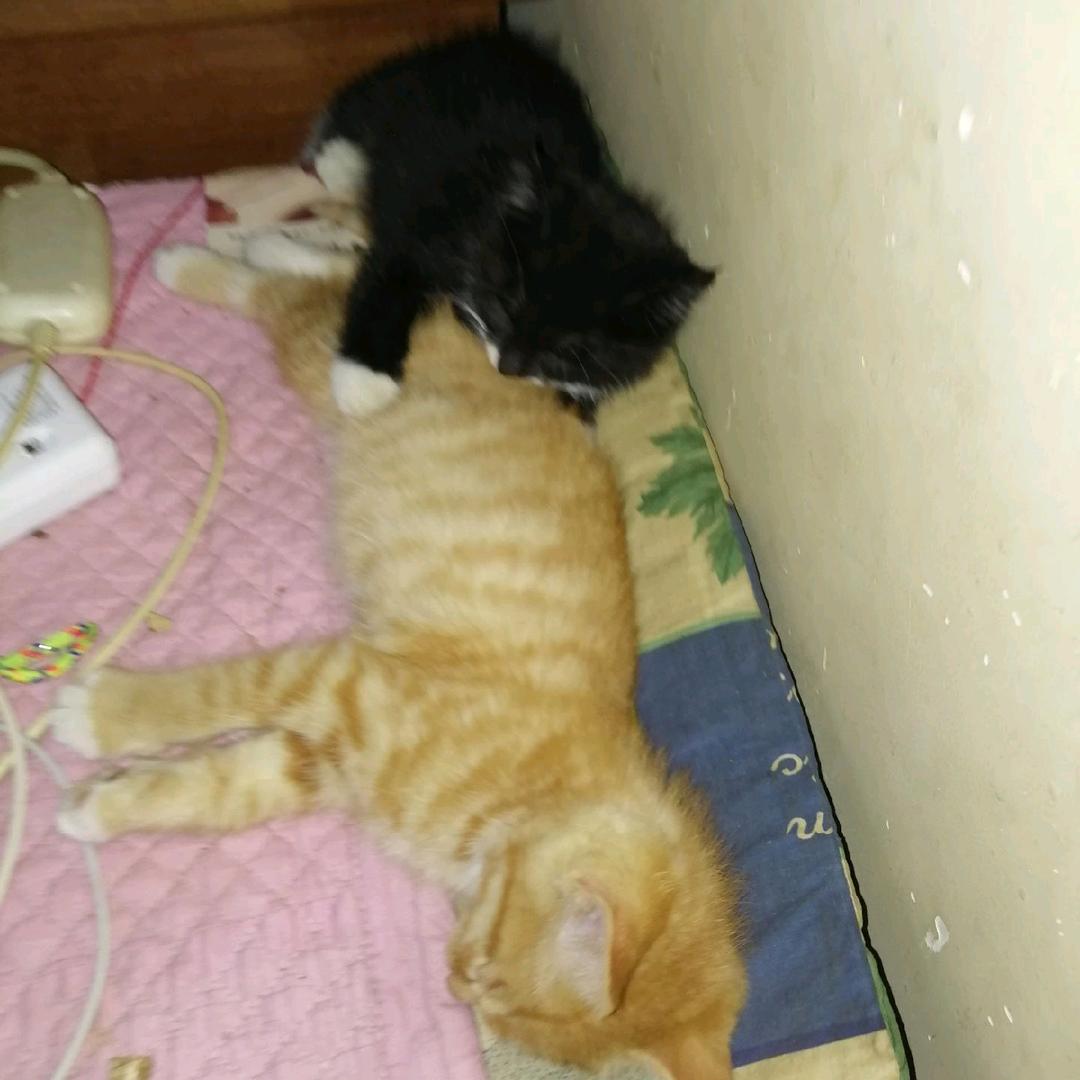 孤独